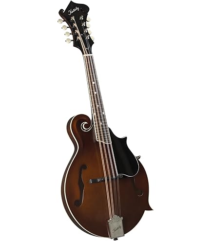 Amazon.com: Kentucky KM-606 Standard F-Model Mandolin – Satin